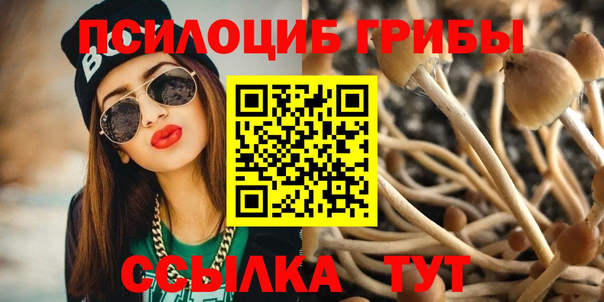 Псилоцибиновые грибы Psilocybe Миасс